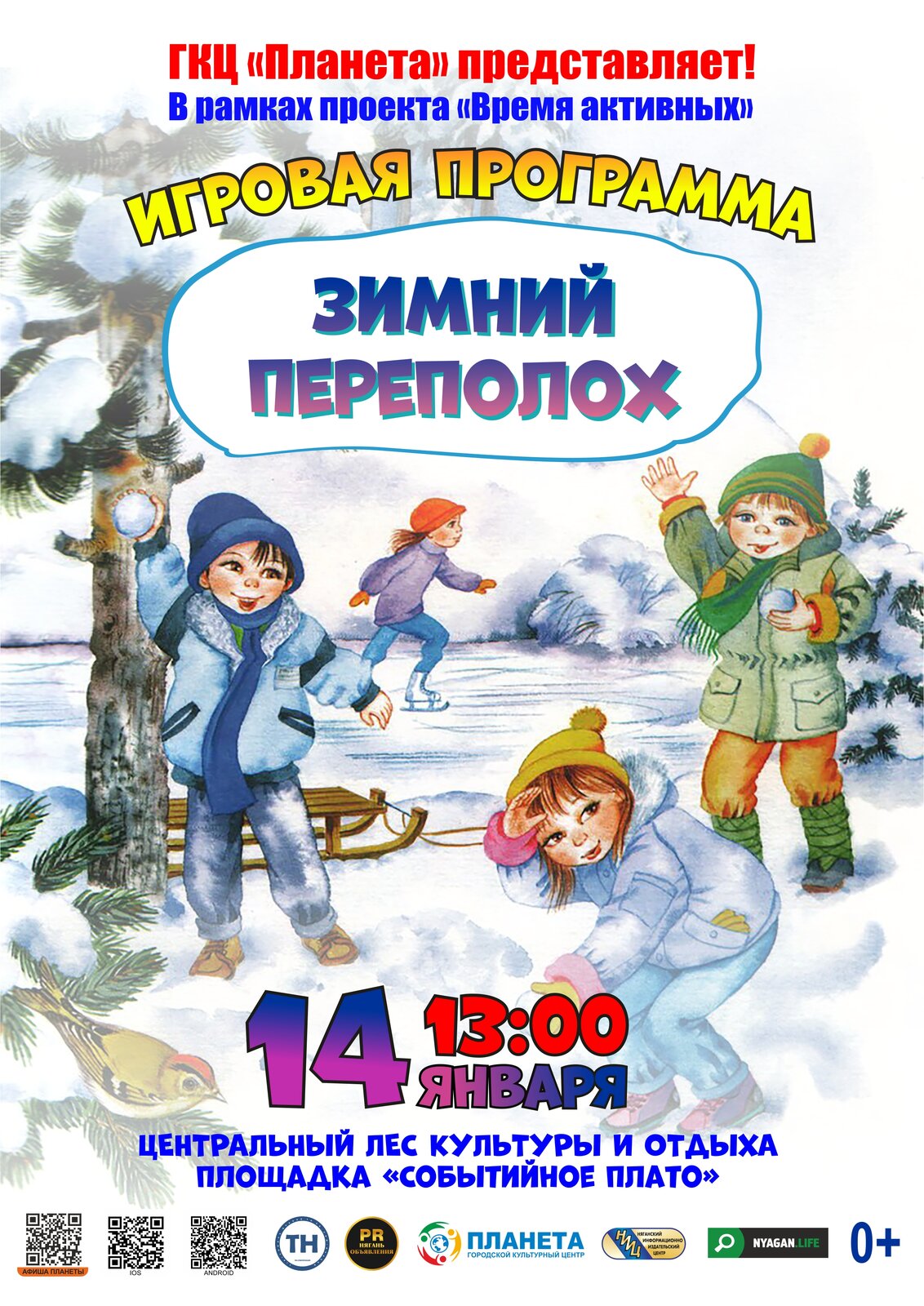 Зимний переполох